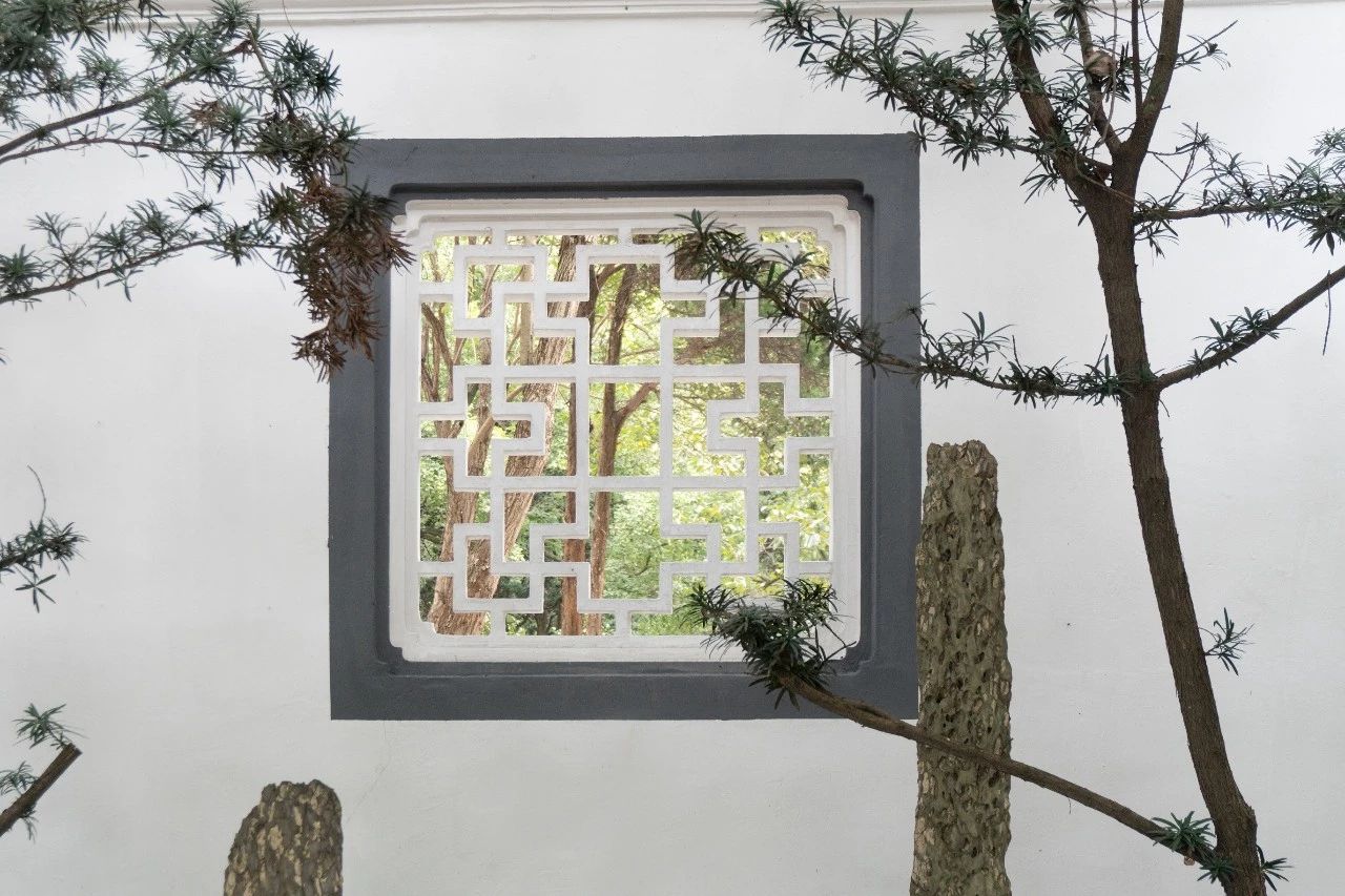 樟华九巷之雕花漏窗 | 掩映的是生活，流通的是曼妙