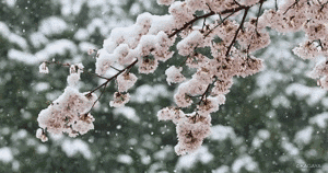 名筑当代阅ΜΟΜΛ|生活，其实是每一次关于幸福的选择！