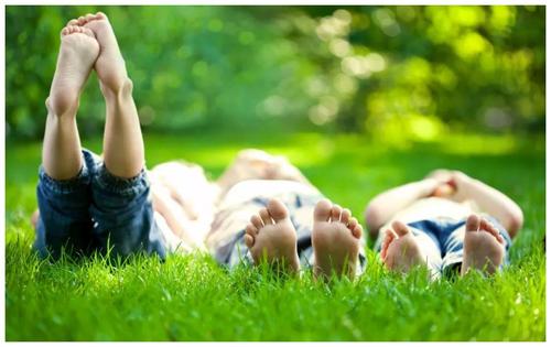 鑫园·未来城 | 低密洋房 更懂你的低密生活