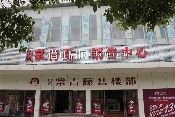 乐居·常青藤实景及配套