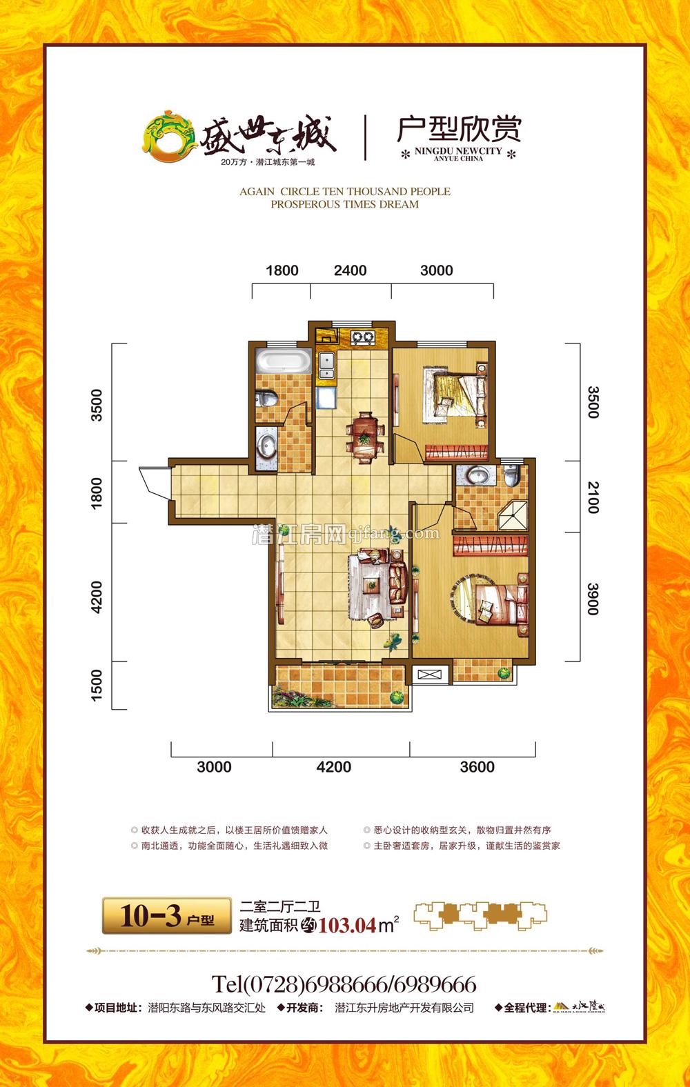 盛世东城10-3户型 户型图