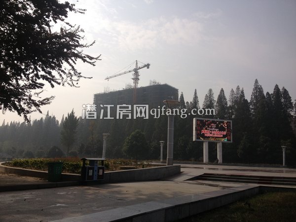 鸿昊花苑十月实景图