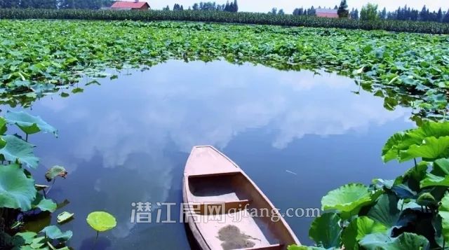 打造“精致城市” 重新擦亮“水乡园林”名片