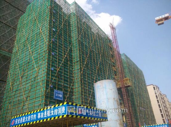 2018050909035970301xb3d4t.jpg 5.jpg