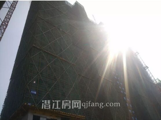 2018050909093917921ybqxmf.jpg 3.jpg