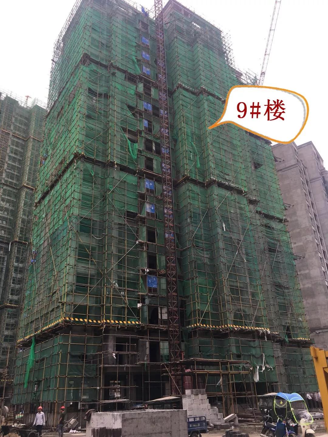 2018052208202246179qj71sz.jpg 2018052208202246179qj71sz.jpg