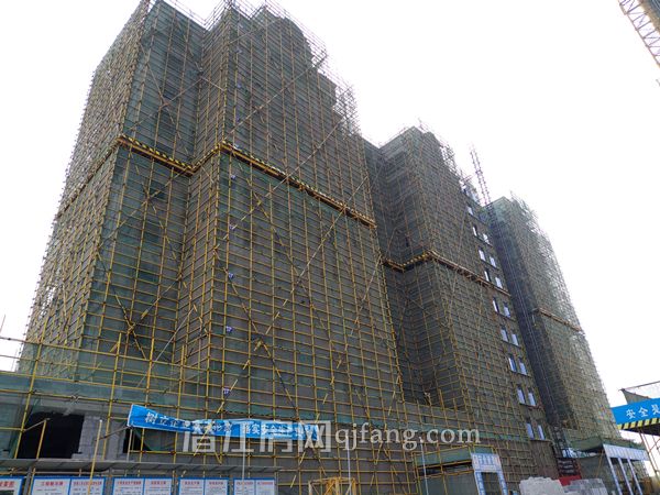 20180608103153624983qiu9a.jpg P80207-153438.jpg