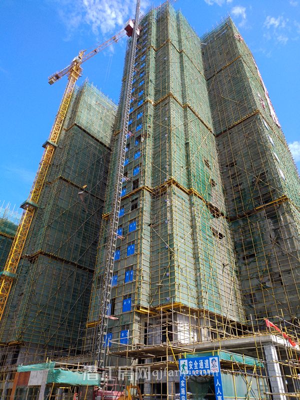 2018062715372340316myece6.jpg P80627-091128.jpg