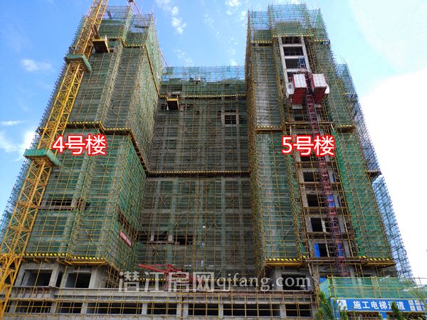 2018062715381122114tyeb37.jpg P80627-090423.jpg