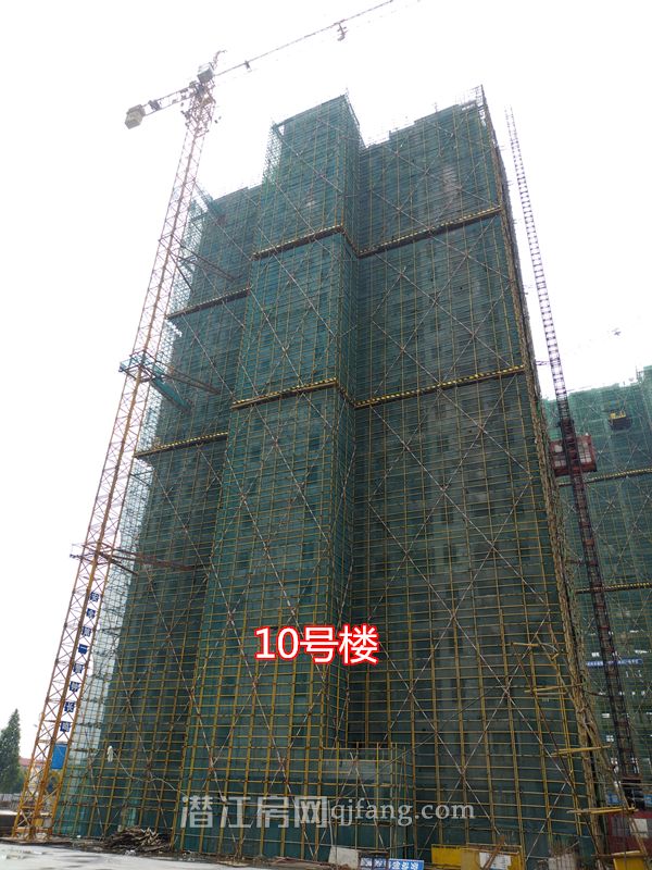 20180629114712859243u9yjd.jpg P80629-110231.jpg