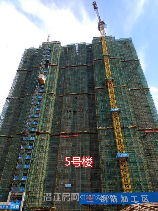 2018071810505852571wrrokx.jpg P80718-090229.jpg