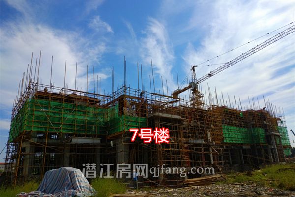 2018071810512868487hpy6e6.jpg P80718-090332.jpg