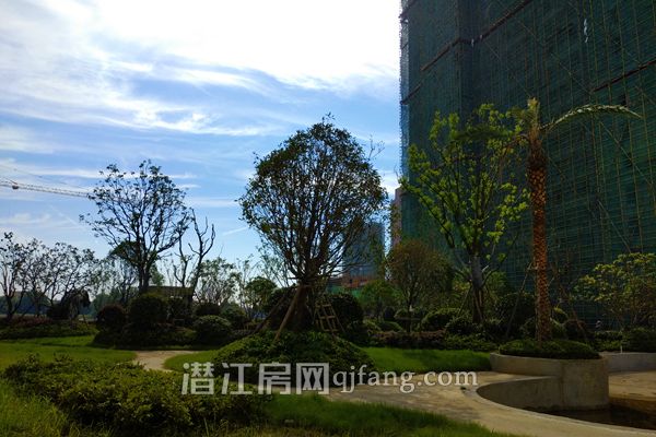 2018071810521674883hezzmd.jpg P80718-090846.jpg