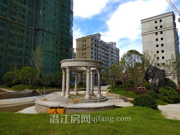 2018071810523164622me8wz6.jpg P80718-091137.jpg