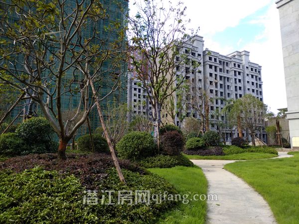 2018071810525096932pyylus.jpg P80718-091336.jpg