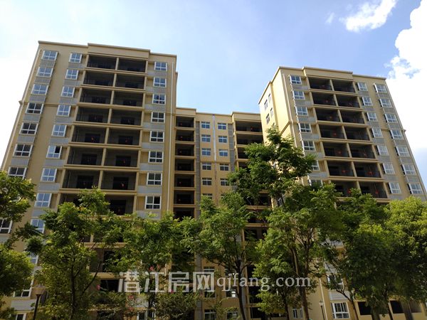 2018072814385546680ovpvyj.jpg P80727-152427.jpg