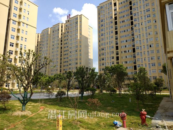 2018072814394629576gncesu.jpg P80727-152809.jpg