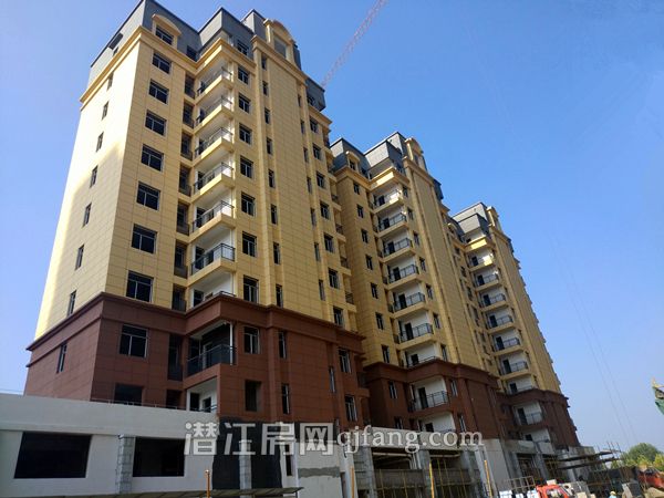 2018082214473816473lm3x3g.jpg P80822-091225.jpg