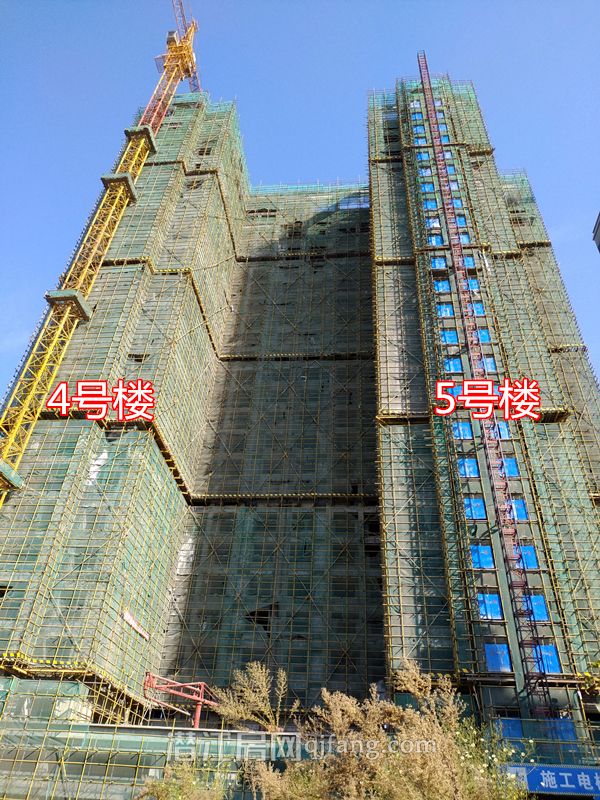 2018101016131662476qji8z3.jpg P81010-092938.jpg