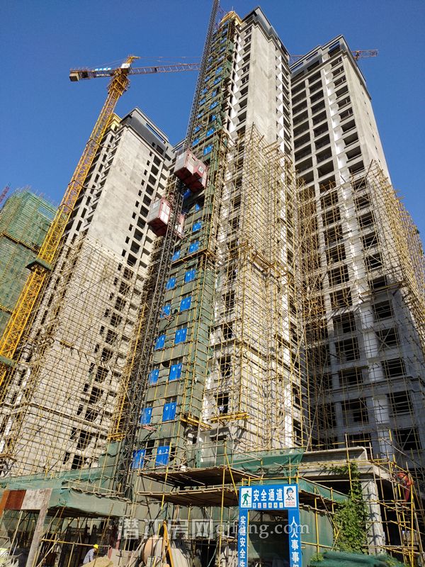 2018101016183330886qzbuyr.jpg P81010-092435.jpg