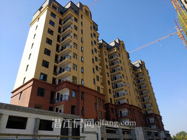 2018101016185022814y73n5h.jpg P81010-092653.jpg