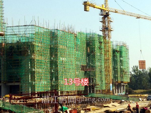 20181102145036346011w4iul.jpg P81102-101900.jpg