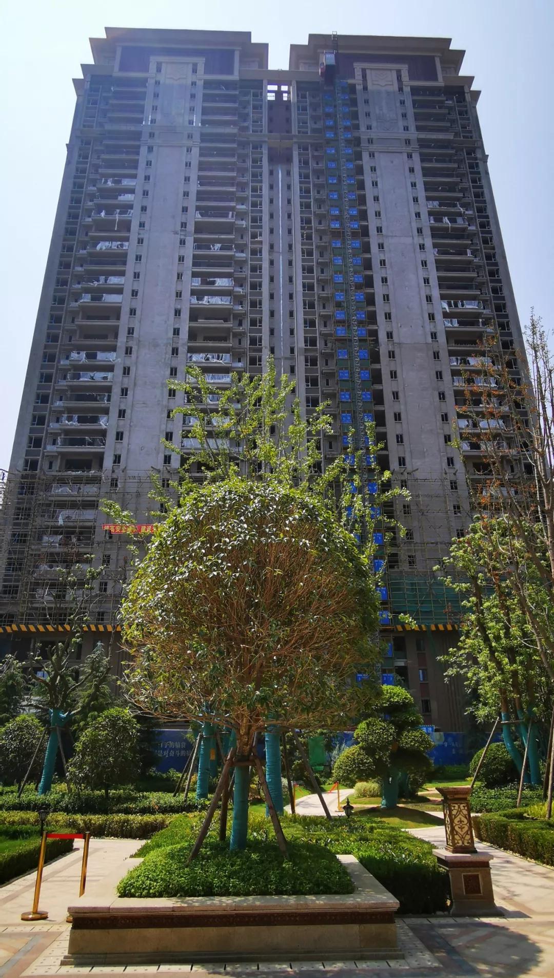 20190807145855538369cwt7r.jpg 20190807145855538369cwt7r.jpg