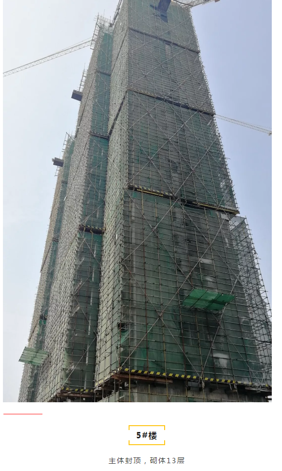 2019111414045721402ooihgp.png /lpfile/2019/11/14/2019111414045721402ooihgp.png