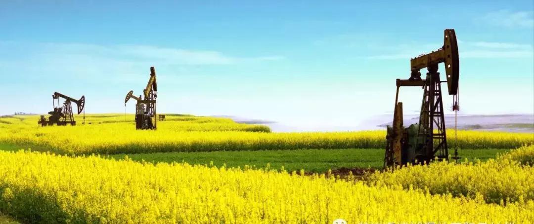 20200115161152515964436qe.jpg 20200115161152515964436qe.jpg