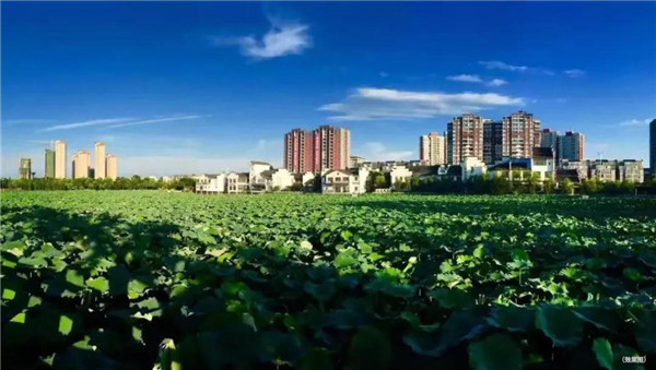 2020011809005569081ca9c7j.jpg /lpfile/2020/01/18/2020011809005569081ca9c7j.jpg