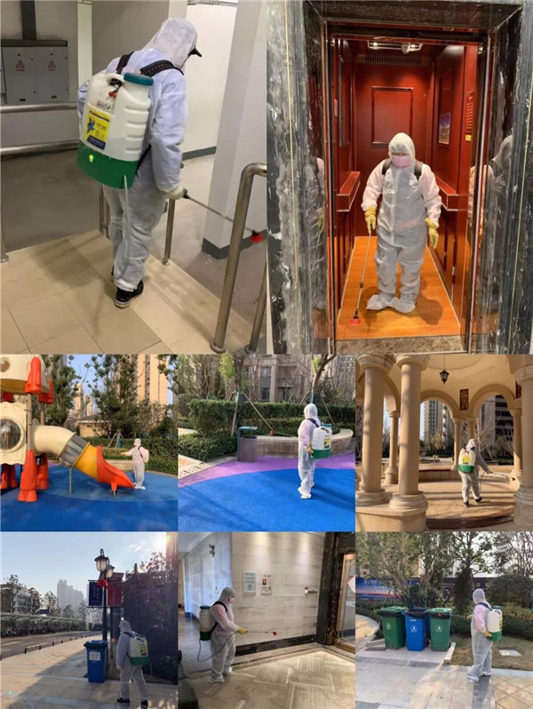 202002201353119180723leqy.jpg /lpfile/2020/02/20/202002201353119180723leqy.jpg