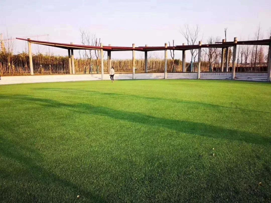 20200222132155332117fsjnp.jpg 20200222132155332117fsjnp.jpg