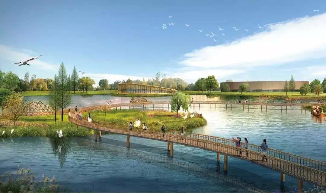 2020032015142278529jum5ug.jpg 2020032015142278529jum5ug.jpg