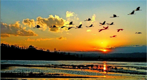 20200331145434859153q91lf.jpg /lpfile/2020/03/31/20200331145434859153q91lf.jpg