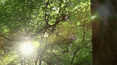 2020040617103531320fgy1xm.jpg /lpfile/2020/04/06/2020040617103531320fgy1xm.jpg