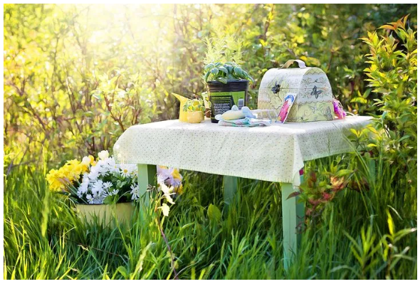 2020050517155925488etvkxd.png /lpfile/2020/05/05/2020050517155925488etvkxd.png