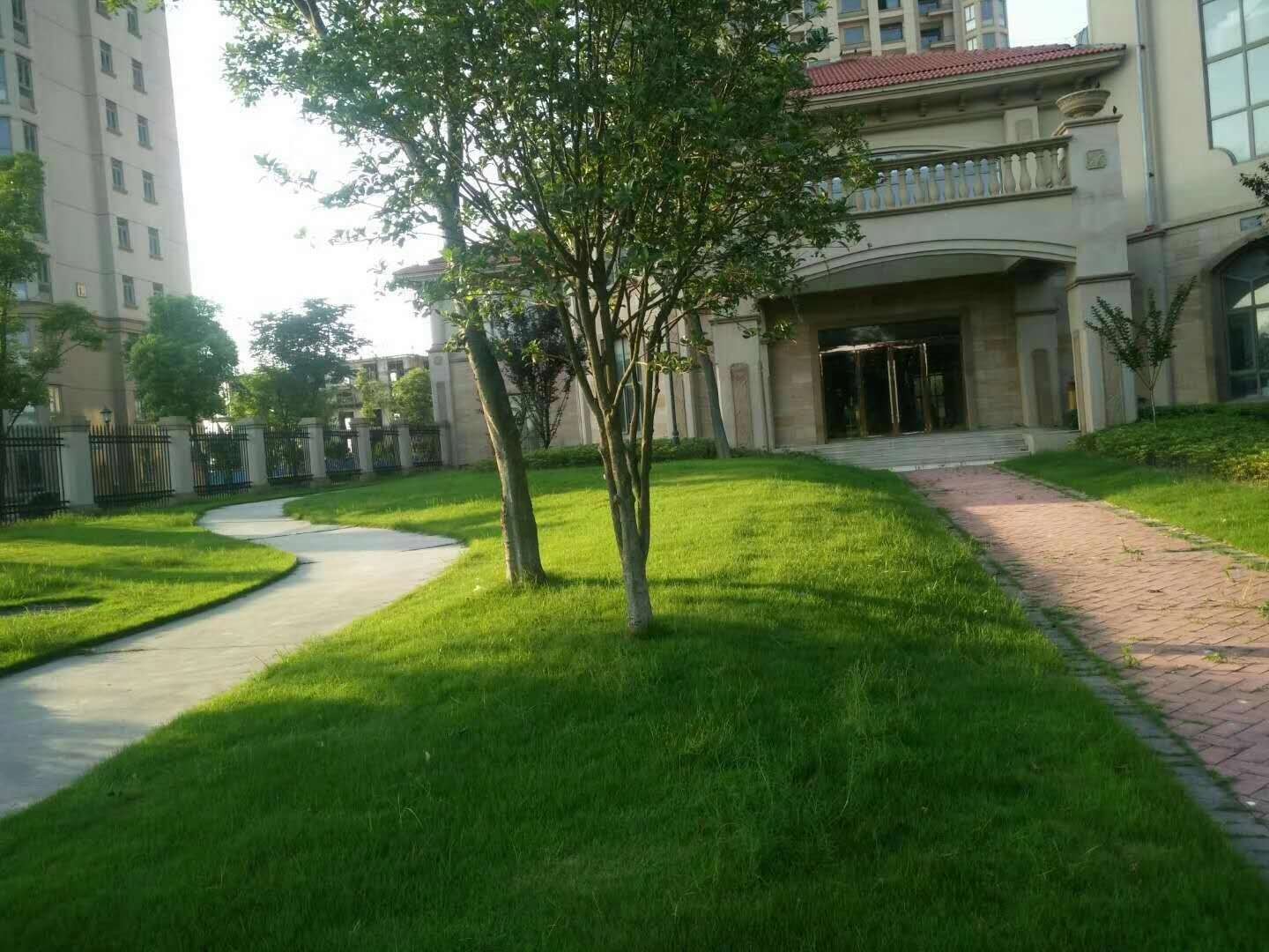 中南世纪城小三房户型好采光好小区环境漂亮