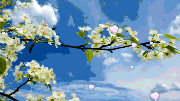 2020052210400575083wnkxmz.gif 2020052210400575083wnkxmz.gif