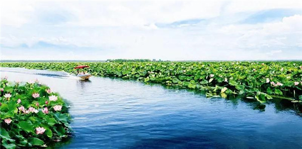 20200615145720741404wetfp.jpg /lpfile/2020/06/15/20200615145720741404wetfp.jpg