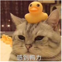 2020062817045676981orlfal.png /lpfile/2020/06/28/2020062817045676981orlfal.png