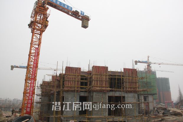 盛世东城 一月工程进度