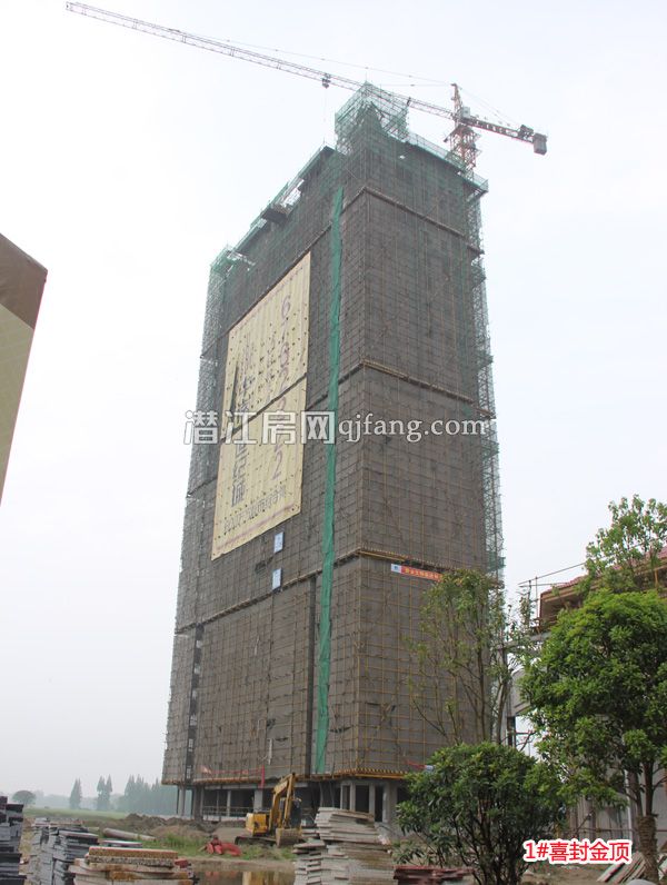 中南世纪城4月工程进度1#