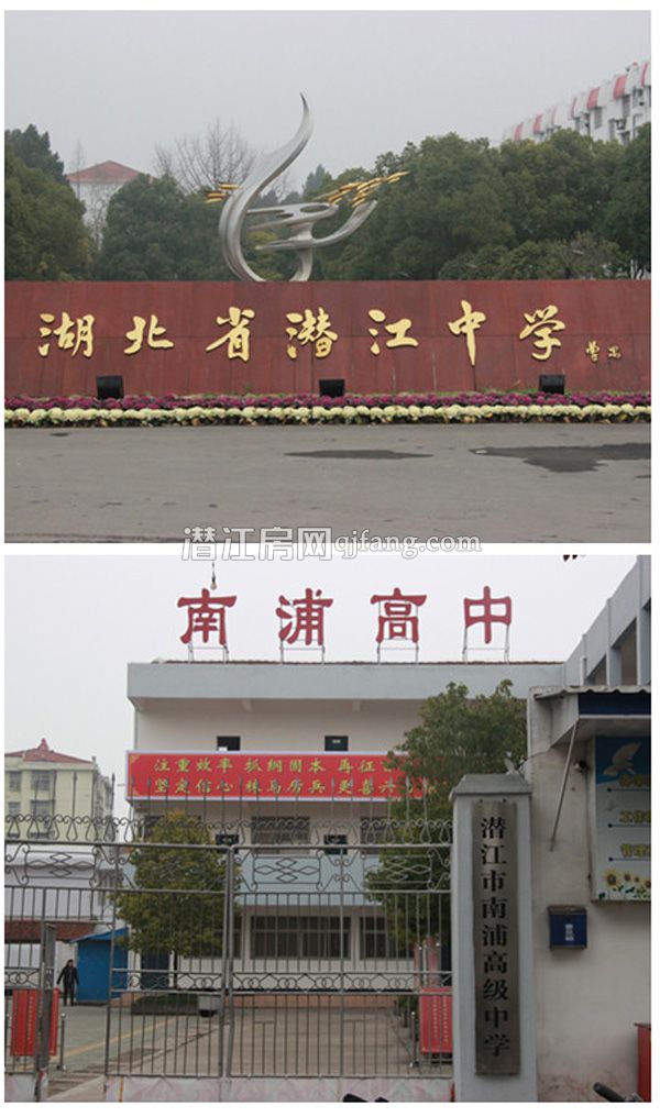 乐居·常青藤看房日记