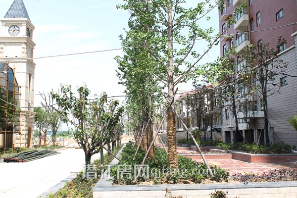 盛世龙城5月工程进度