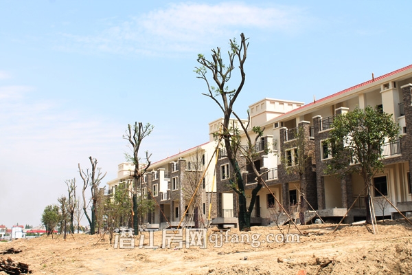 盛世龙城5月工程进度