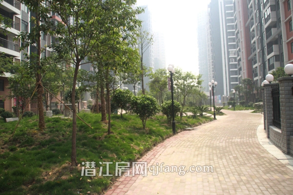 万和国际内部环境