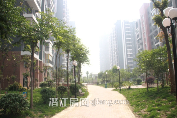 万和国际内部环境