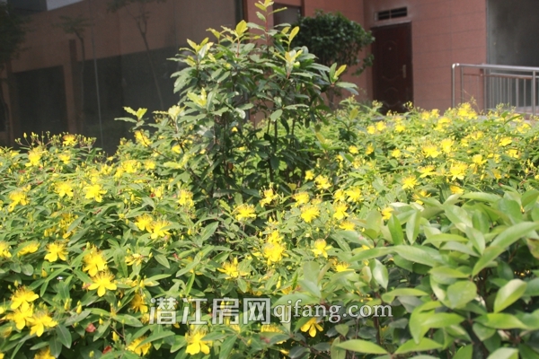 万和国际内部环境