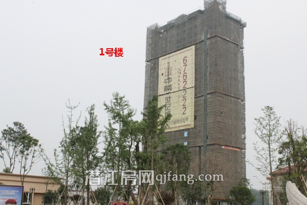 中南世纪城6月工程进度：2.3号楼喜封金顶