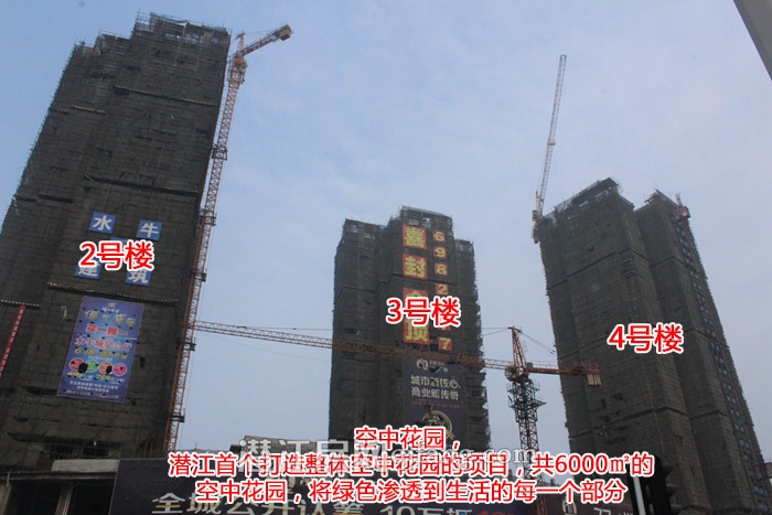 乐居·常青藤6月工程进度 4栋楼均已封顶